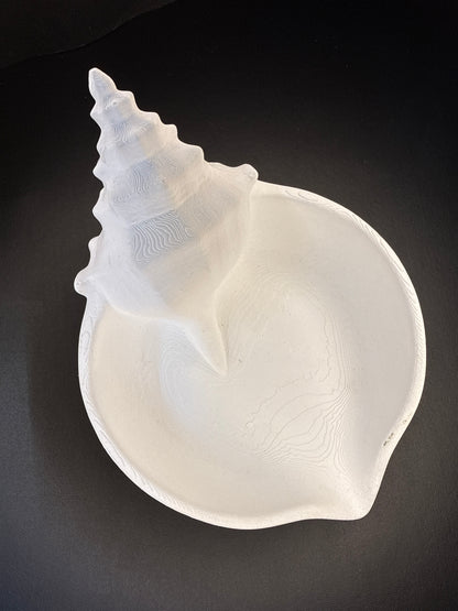Shell Jewellery Tray